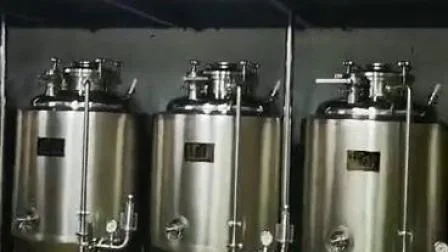 SUS304 SUS316 Equipo de fermentación de cerveza de acero inoxidable Equipo de elaboración de cerveza